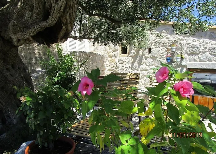 Dom wakacyjny Dubrovnik - House Stijepo - *
