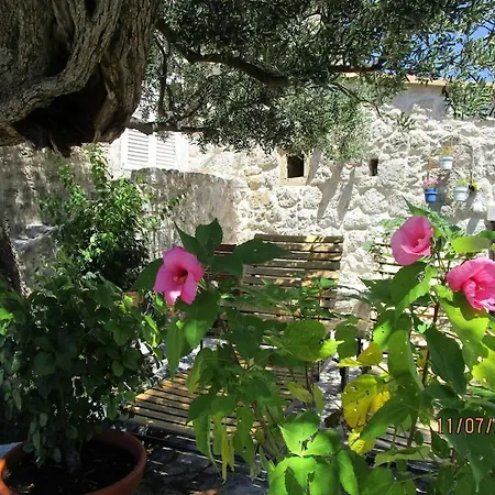 Vikendica Dubrovnik - House Stijepo - *